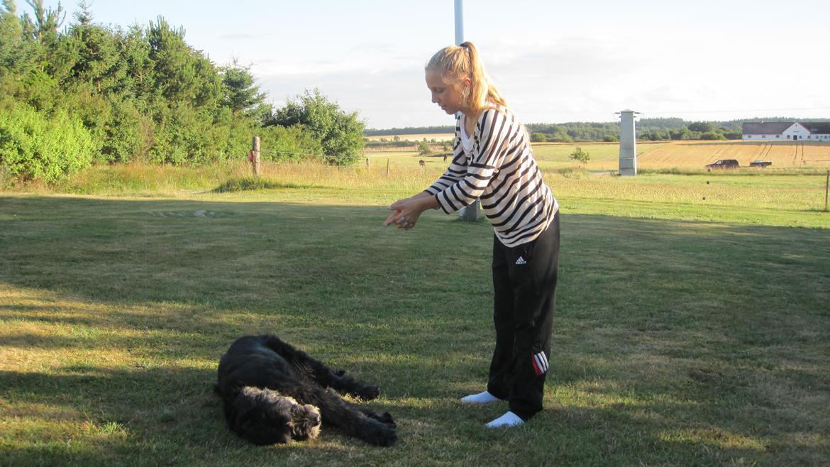 Blanding af racer Snuffe - Snuffe spiller død! Foto: lillesøster billede 10