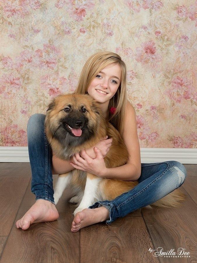 Islandsk fårehund Malou billede 8