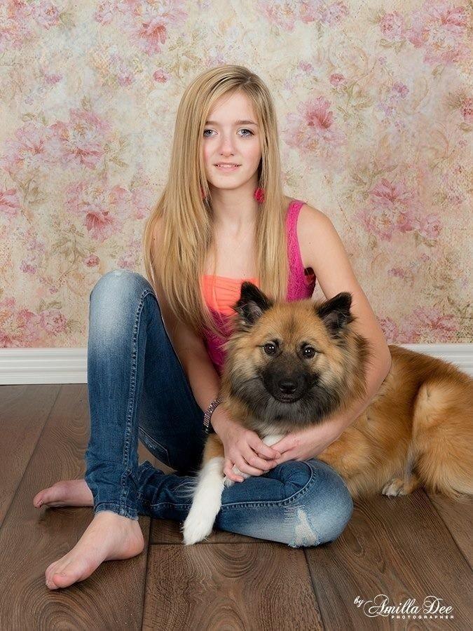 Islandsk fårehund Malou billede 3