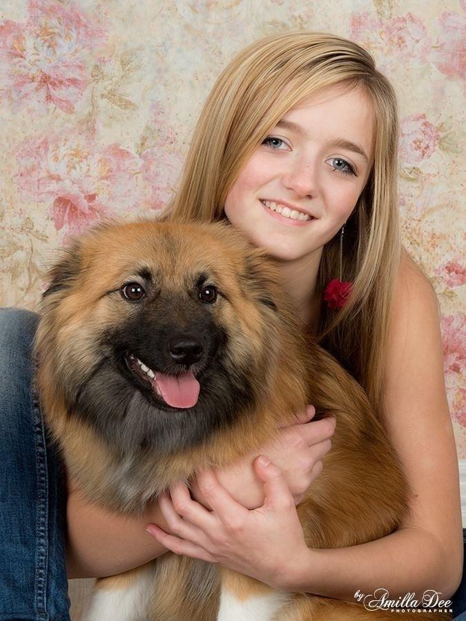 Islandsk fårehund Malou billede 11