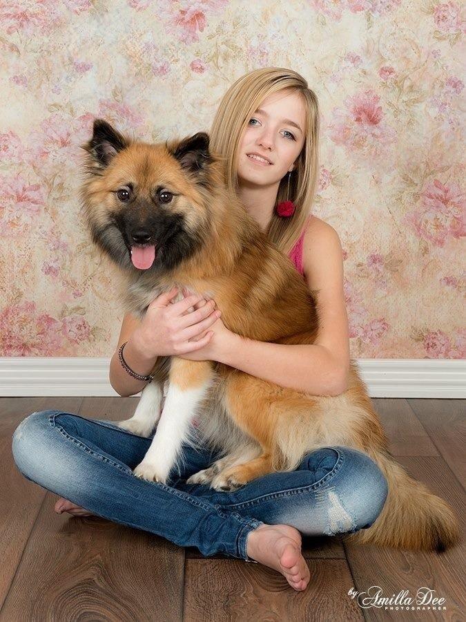 Islandsk fårehund Malou billede 12