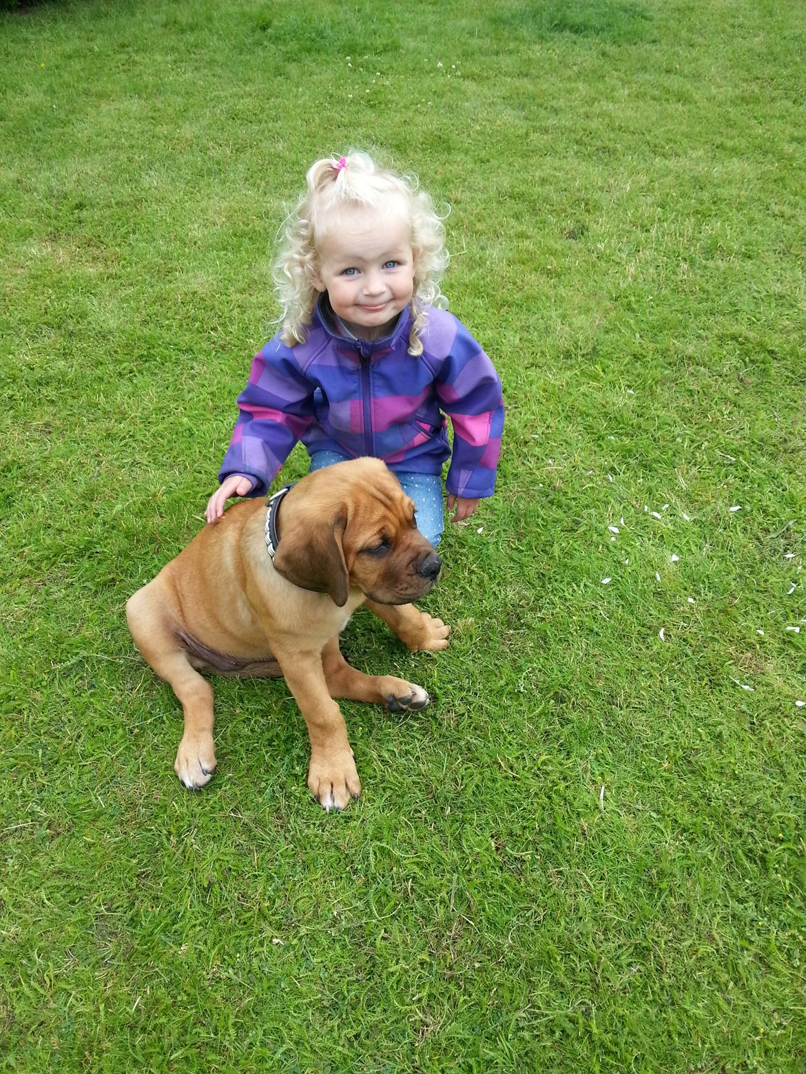 Blanding af racer Nahla ( himmelhund pga sygdom ) - Nahla & vores datter hygger i haven <3 billede 7