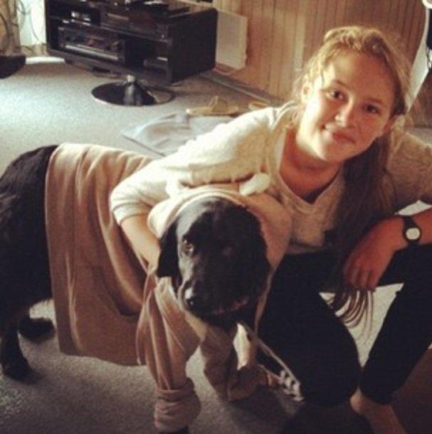 Blanding af racer Vaks billede 7