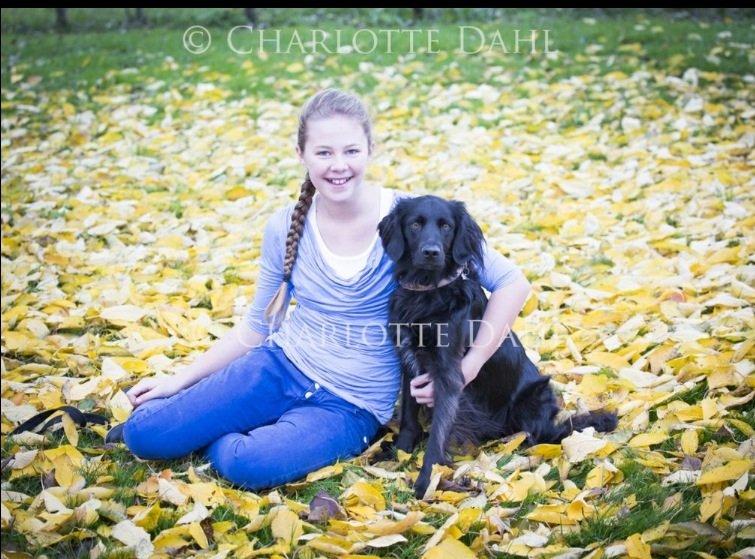 Blanding af racer Vaks billede 8