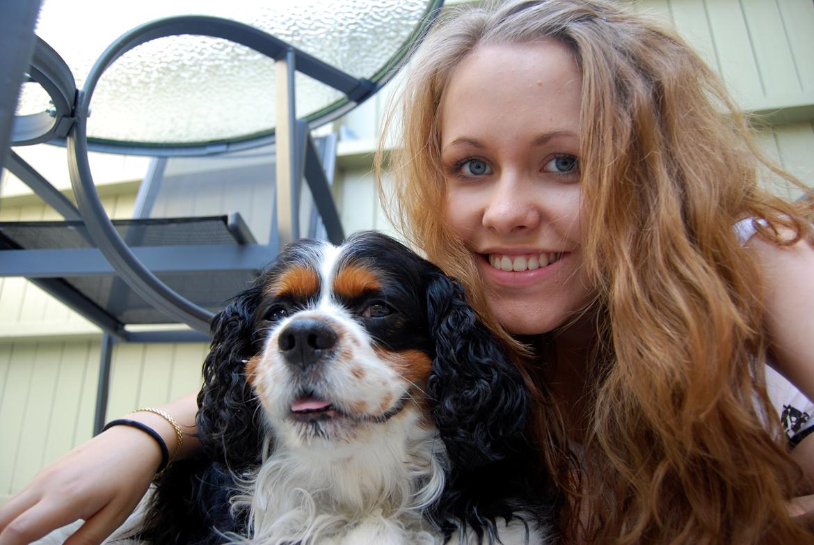Cavalier king charles spaniel Valde - Mig og Valde billede 13
