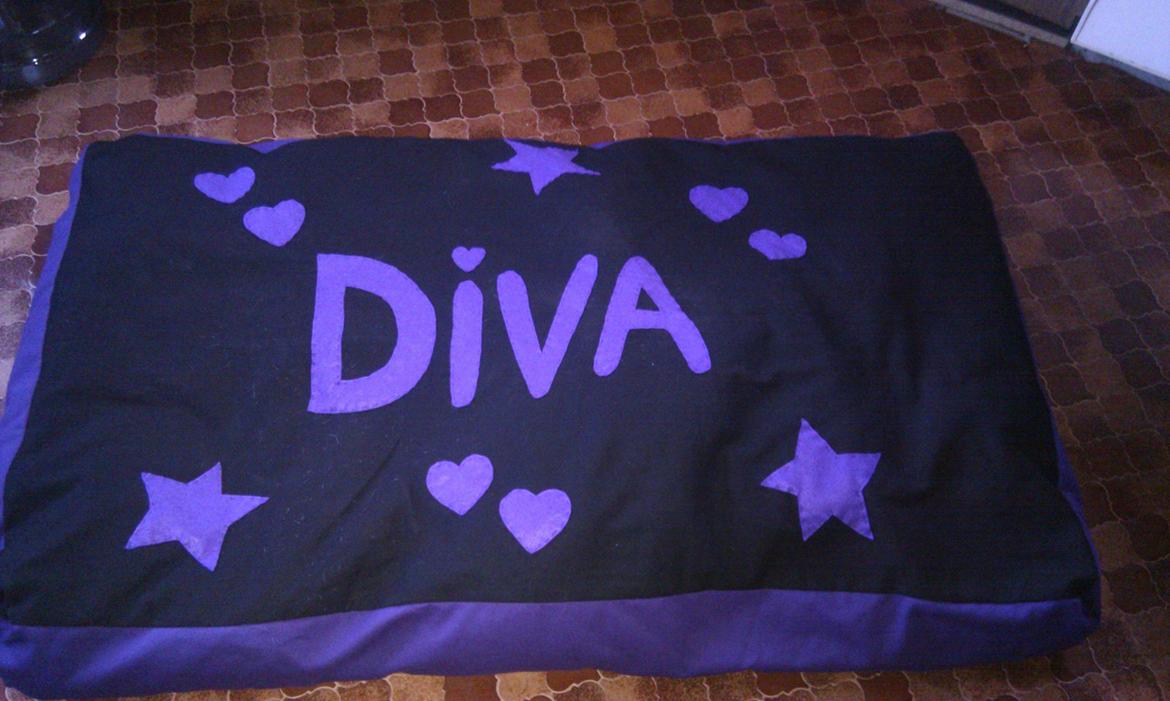 Grand danois Diva R. I.P min smukke engel <3 - gave til Diva fra mors veninde :) billede 2