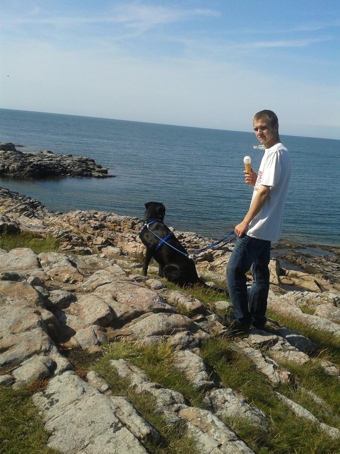 Blanding af racer Buller - Eventyr på Bornholm billede 1