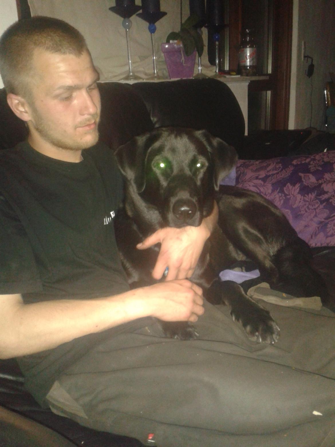 Blanding af racer Buller - Sofahygge med far. billede 3