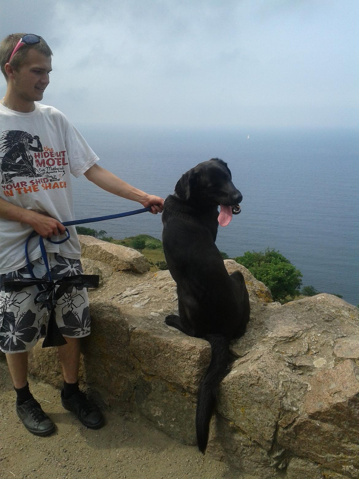 Blanding af racer Buller - Eventyr ved Hammershus ;) billede 4