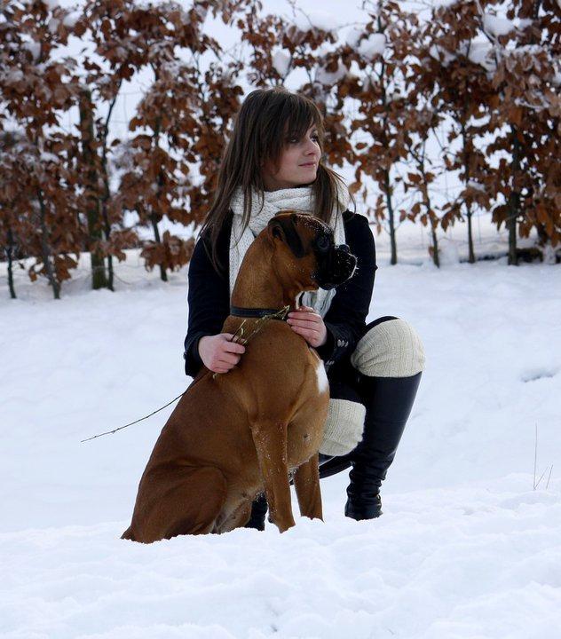 Boxer Skovhøjs Gaeia billede 12