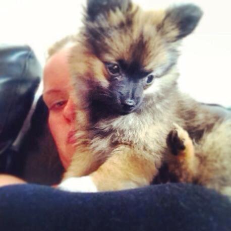 Blanding af racer Flossie billede 21