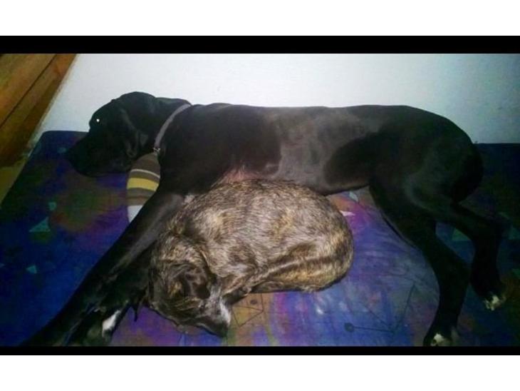 {{currentPhoto.altText}} billede {{currentPhoto.number}}