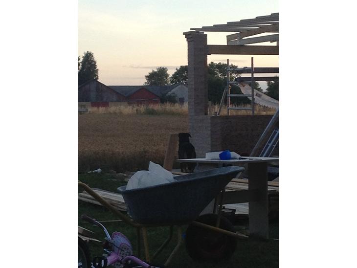 {{currentPhoto.altText}} billede {{currentPhoto.number}}