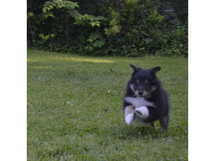 {{currentPhoto.altText}} billede {{currentPhoto.number}}