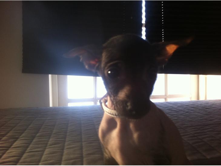 {{currentPhoto.altText}} billede {{currentPhoto.number}}