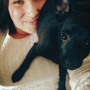 Blanding af racer Koda