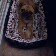 Blanding af racer Søs