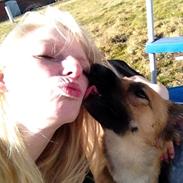 Blanding af racer Linea