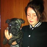 Blanding af racer Tøzen