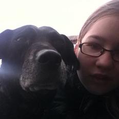 Blanding af racer Chili