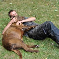 Labrador retriever Buller ~ R.I.P. 26 Nov. 2013 ~