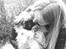 Pekingeser Sigurd