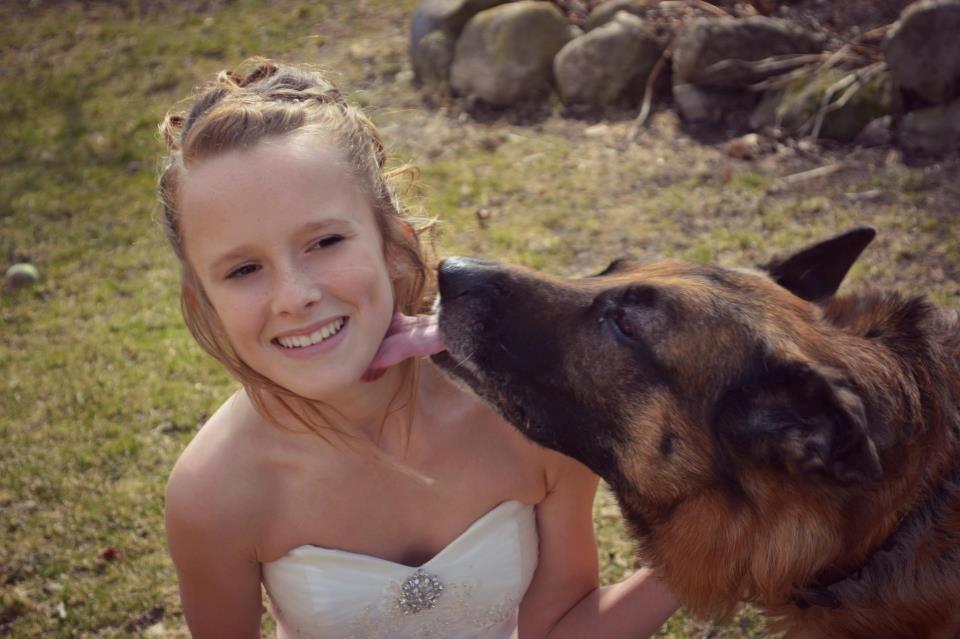 Schæferhund Elverhøj Pele (Kastro) - Velkommen til Kastro! billede 1