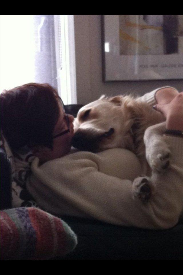 Golden retriever Captain Morgan billede 19