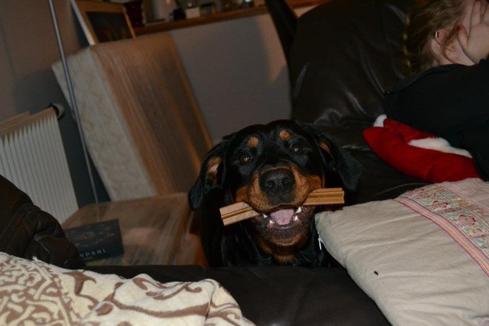 Blanding af racer Angie billede 13