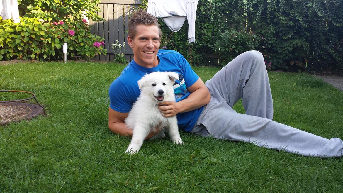 Hvid schæfer Kenzo billede 7