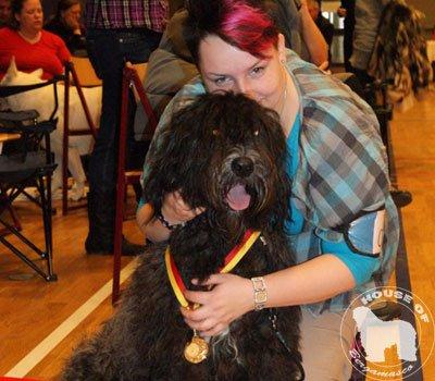 Cane Da Pastore Bergamasco Eccola av Villrosebakken billede 11