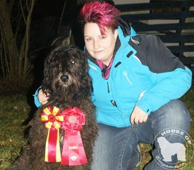 Cane Da Pastore Bergamasco Eccola av Villrosebakken billede 17