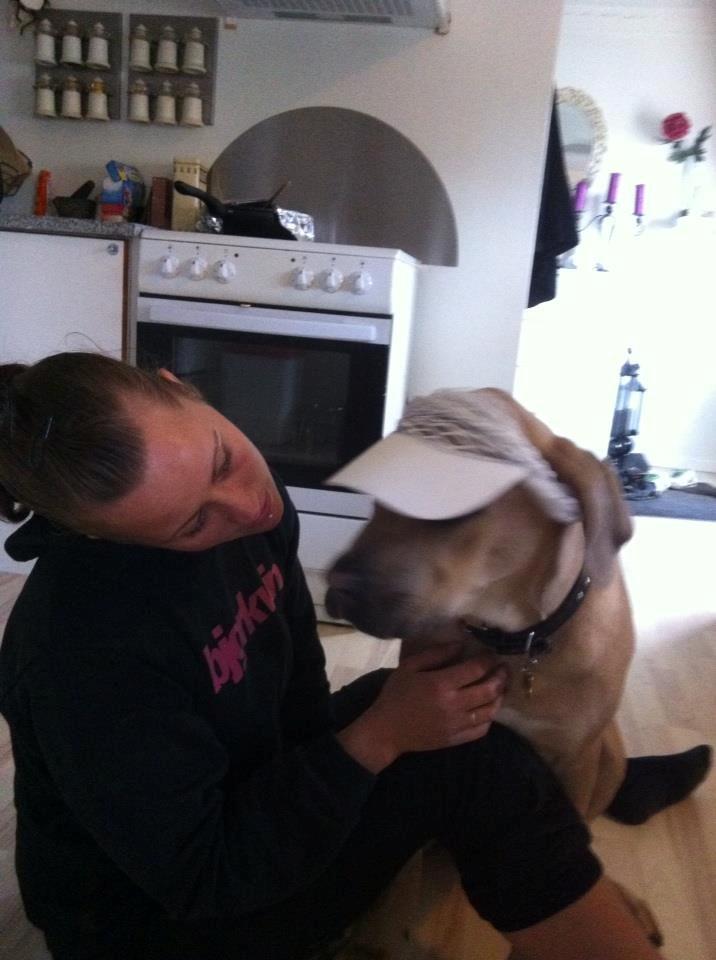 Cane corso Ashlan billede 15