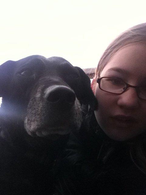 Blanding af racer Chili billede 3