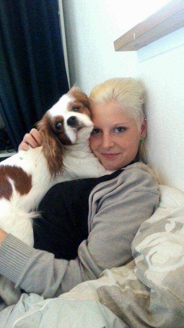 Cavalier king charles spaniel Kia billede 5