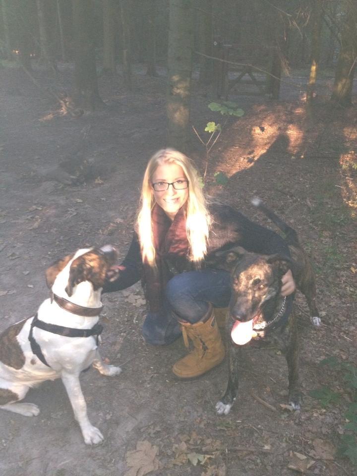 Blanding af racer Shiva billede 4