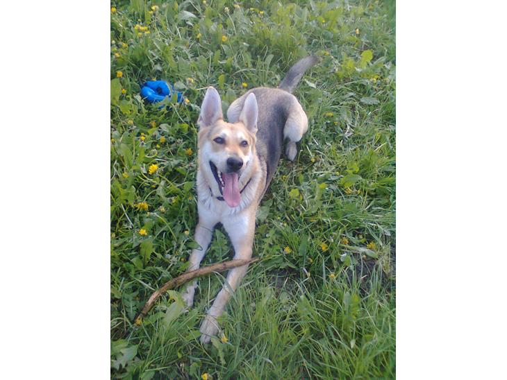 {{currentPhoto.altText}} billede {{currentPhoto.number}}