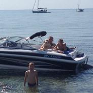 Golden retriever Sally