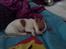 Blanding af racer Coby - zzzz. <3