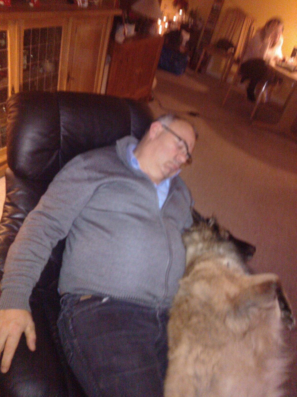 Belgisk hyrdehund Bonnie billede 12