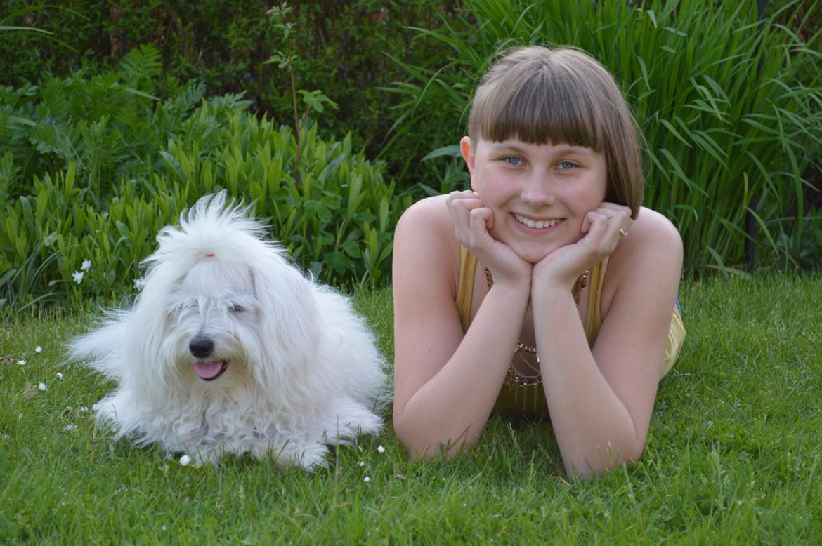 Coton de tulear Charlie - Lige et billede af Charlie og mig :) billede 4