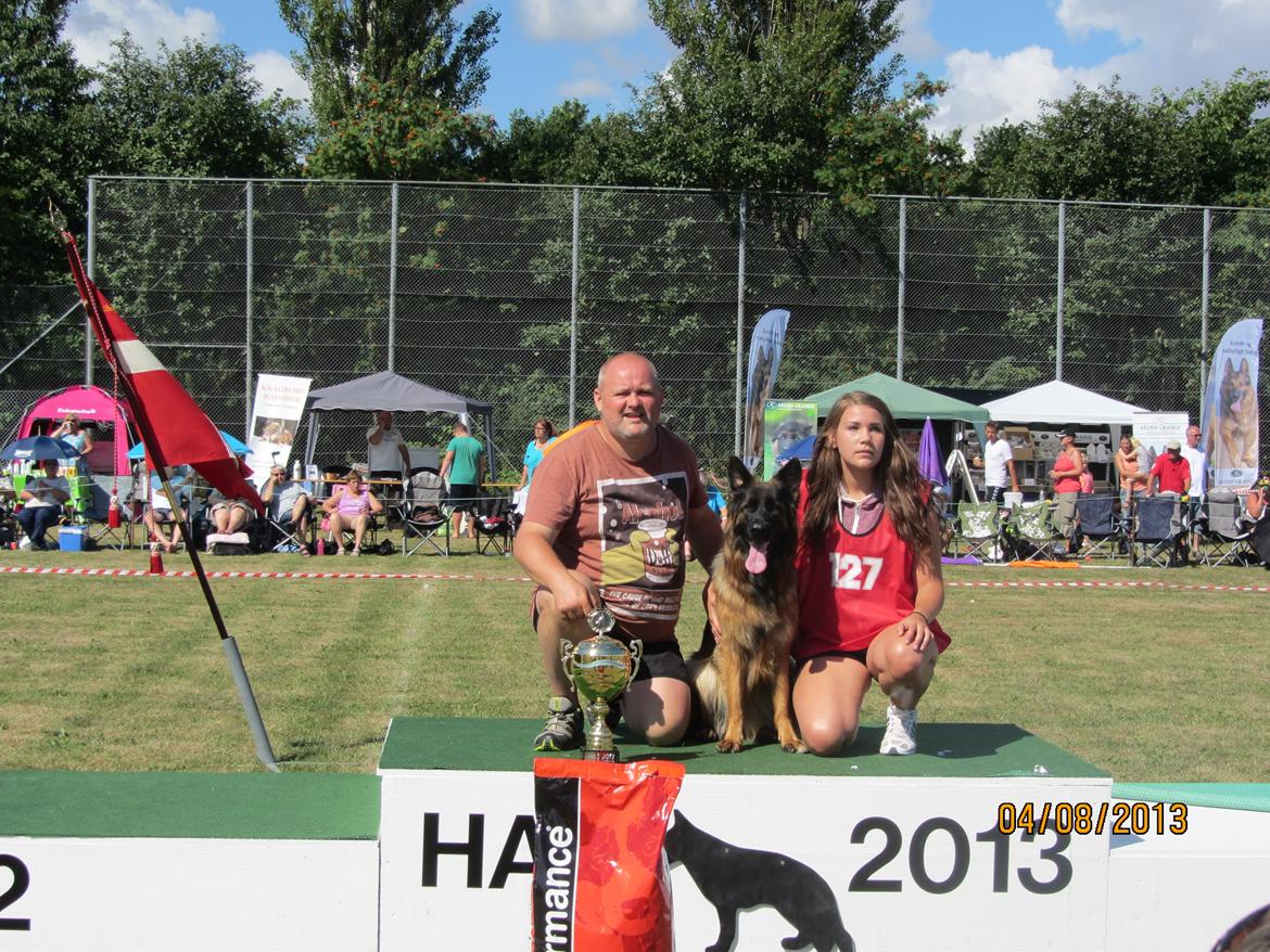 Schæferhund Hassenkam's Christa - Podie foto fra HAS 2013 billede 30