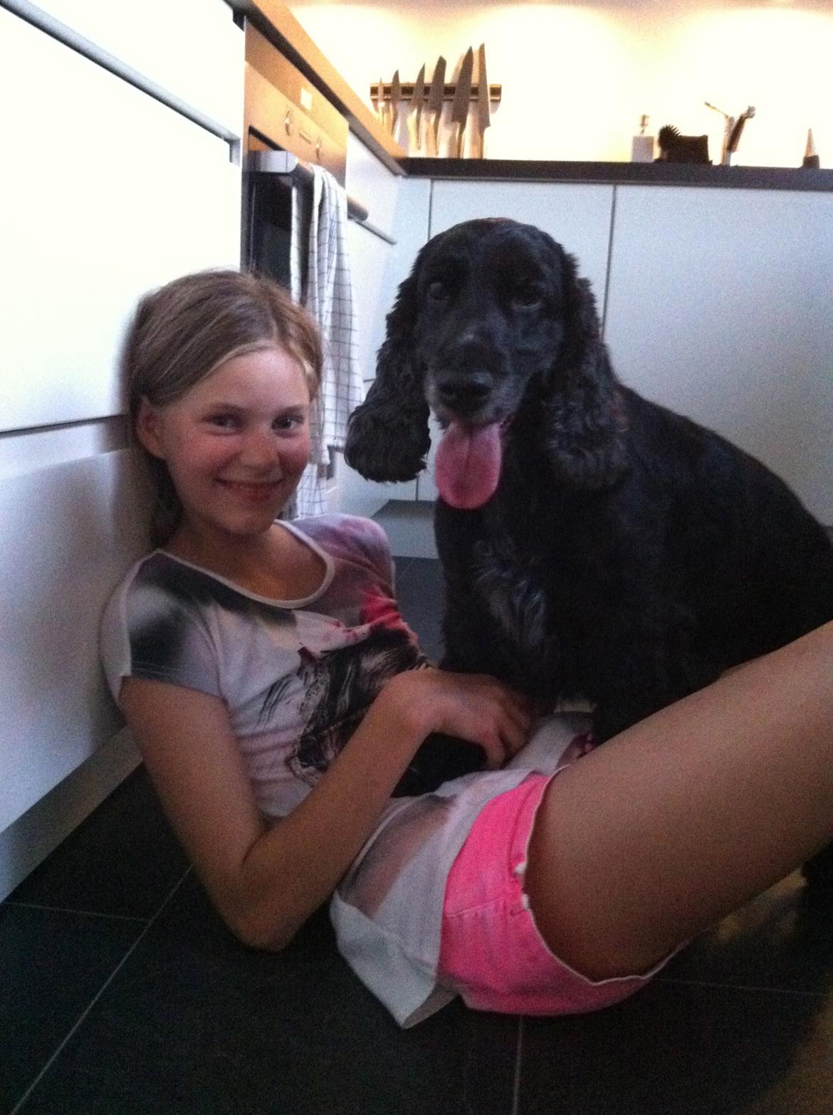 Cocker spaniel Rosa - Mig og smukke rosa billede 2