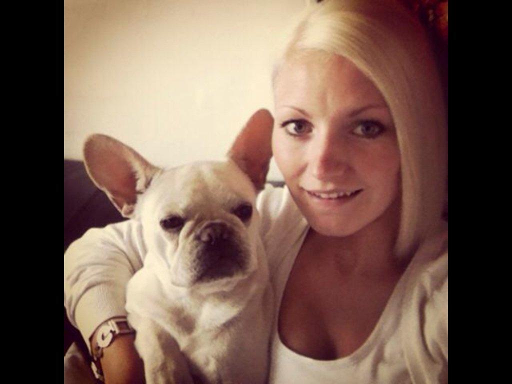 Fransk bulldog Kenzo billede 5