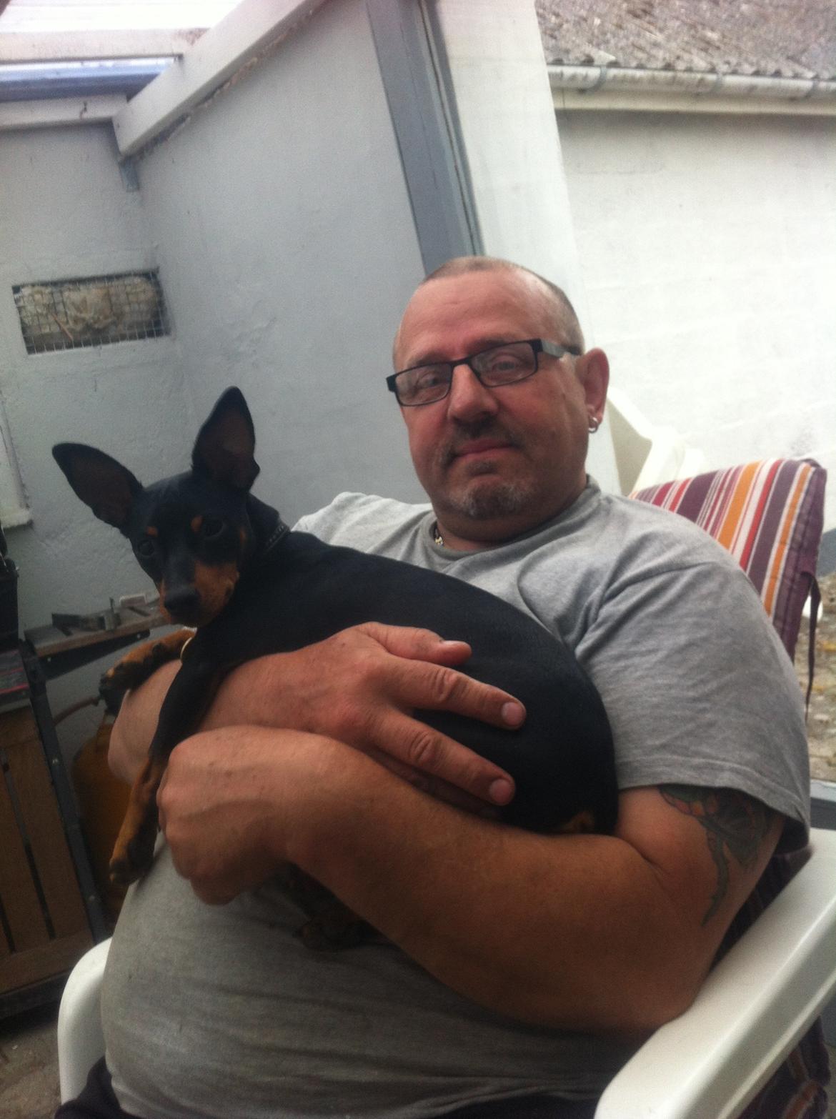 Dvaergpinscher Lady - Det her er min morfar. Og ham elsker jeg bare overalt på jorden! Jeg bider hvis nogle kommer for tæt på ham. :D haha.. billede 3