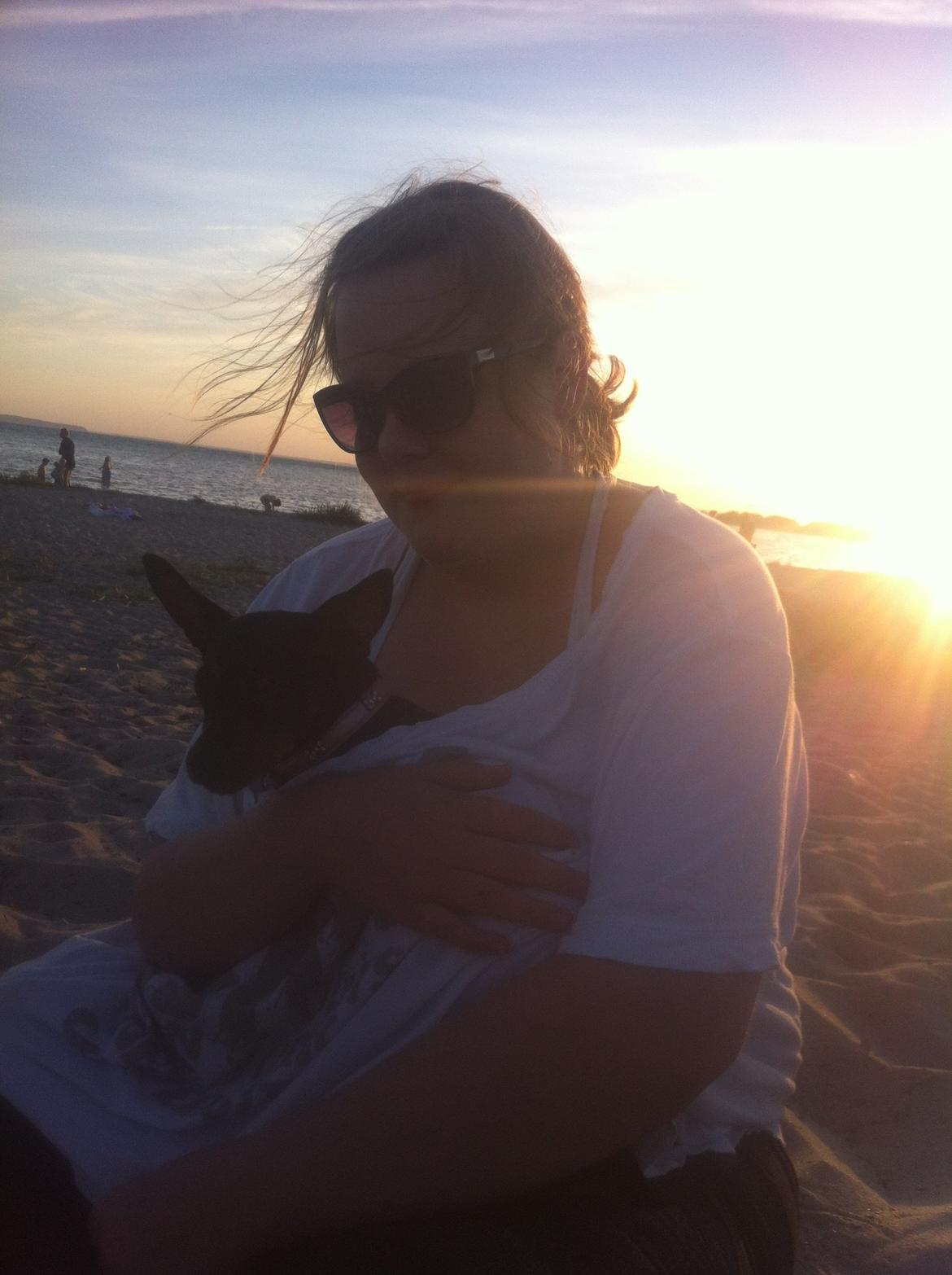 Dvaergpinscher Lady - Her sidder jeg hos min mor.. Det er godt hun er så tyk, så kan hun varme mig ;)  billede 18