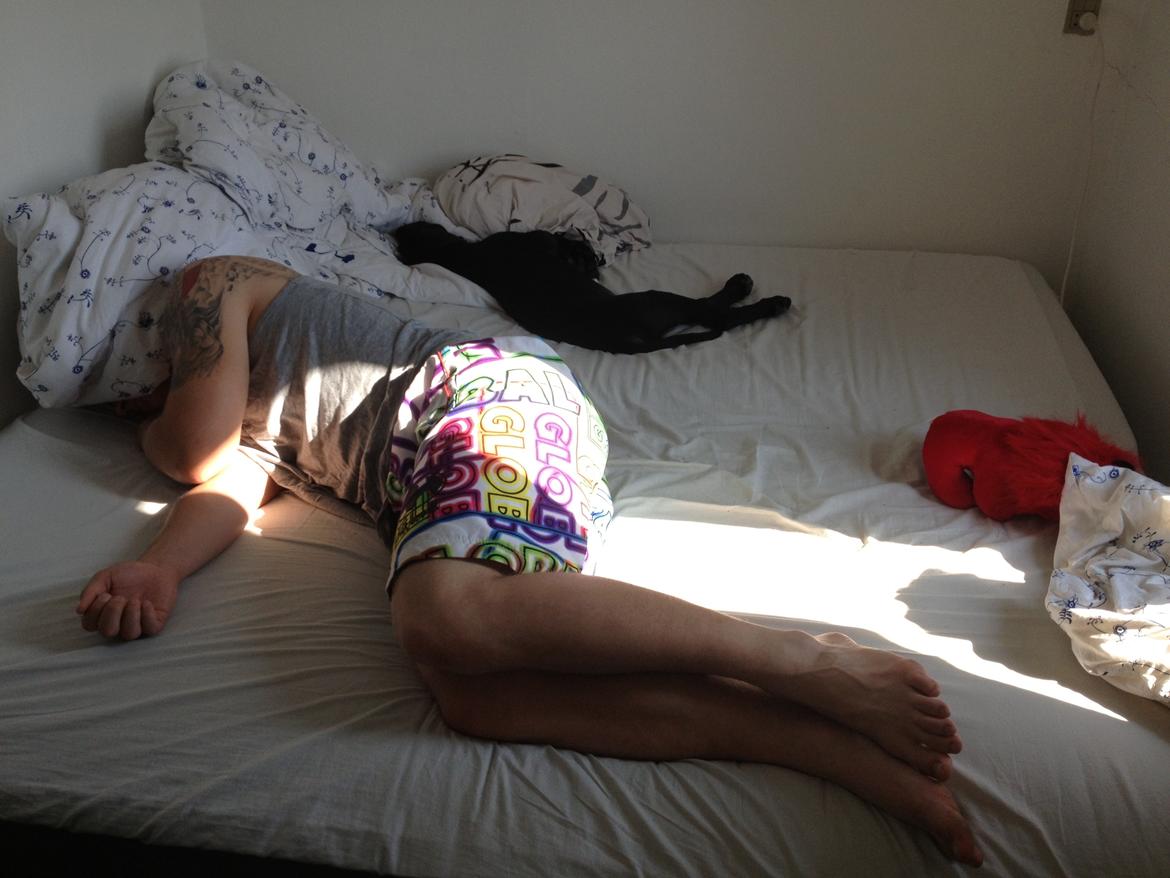 Grand danois Idefix - får en lur med far.  billede 11