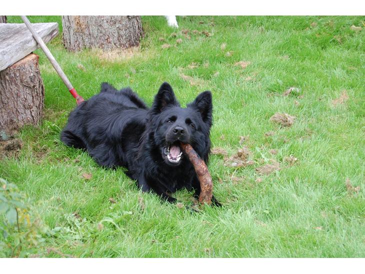 {{currentPhoto.altText}} billede {{currentPhoto.number}}