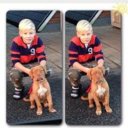 Dogue de bordeaux Chanel