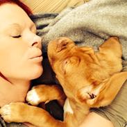 Dogue de bordeaux Chanel